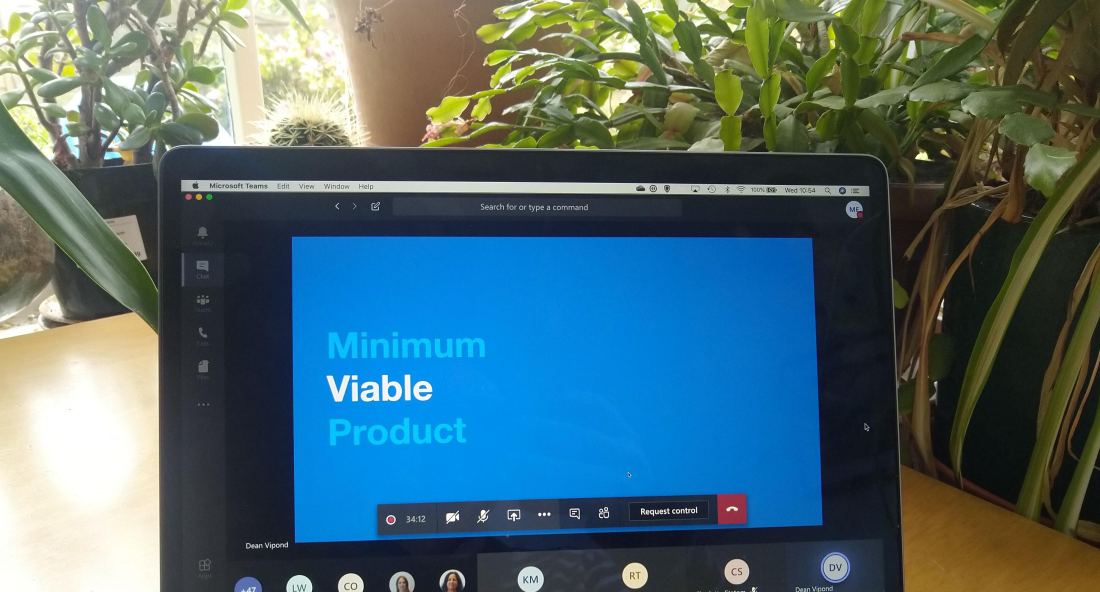 Laptop screen in front of houseplants. Text on screen says "Minimum Viable Product"