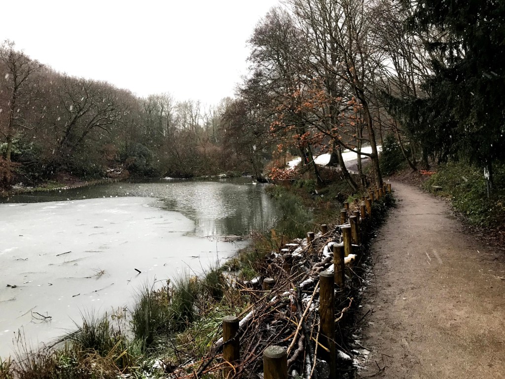 Lake next to footpath in woods. The lake is partially frozen over