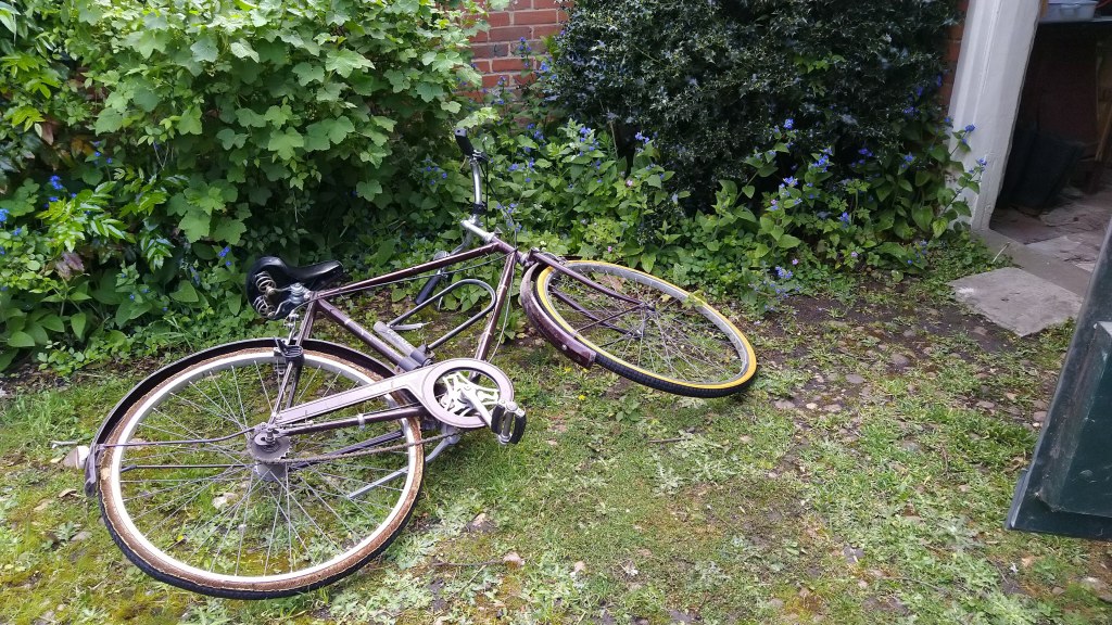 Old bicycle on mossy path by overgrown garden border