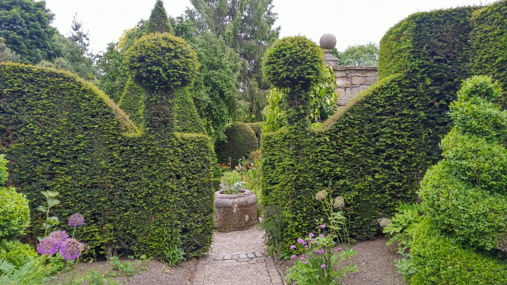 High yew hedges with a garden path running between them clipped into ball shapes at the top corners