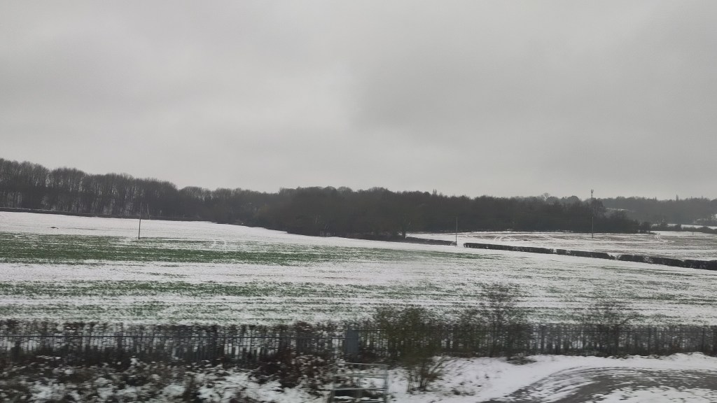Behind a metal fence, a snowy field with green showing through. Beyond that, trees on the skyline and grey sky