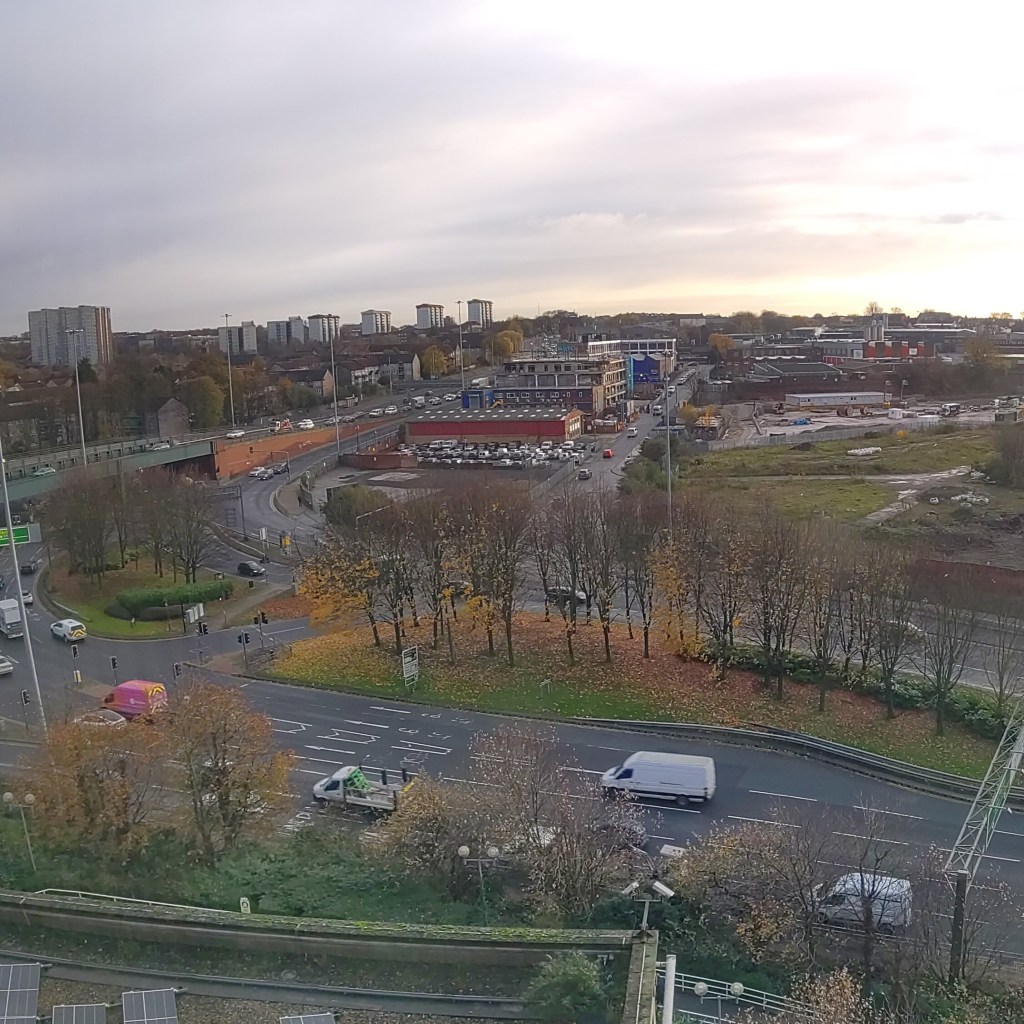 View from a high wndow across a four-lane road with vans driving on it, On a grassy traffic island between roads, a row of tall trees mostly without leaves, yellow leaves carpet the ground below the trees. beyond that, high rise blocks on the skyline. The sky is light grey with brightness spreading from the horizon
