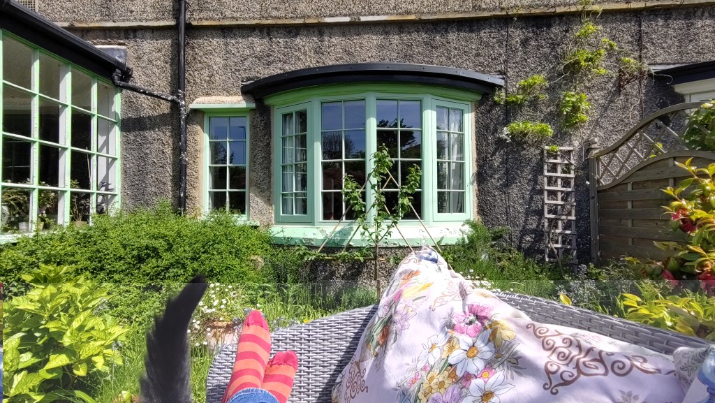 A view across a small overgrown garden to a bow window and a grey pebbledash wall with plants growing up it. In the foreground the end of a garden sofa with a pair of feet in stripy red socks (my own) and a black tail (my cat's)