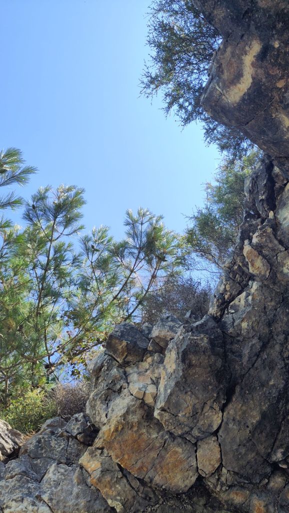 Craggy rocks, spiky green tree branches and blue sky